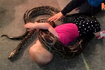 (Vidéo) États-Unis: Alyssa, 14 mois, un python pour animal de compagnie