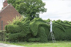 (Photos) Il met 13 ans pour transformer sa haie en véritable dragon géant, l'Homme aux mains d'argent