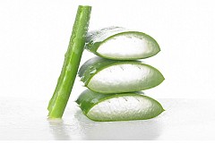 Recette naturelle : un gel peau nette à l'aloe vera