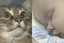 Russie: Un chat sauve un bébé abandonné en le protégeant du froid