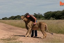 Ami avec un lion en captivité depuis 11 ans