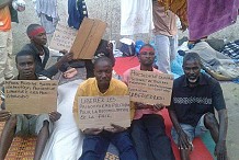 Côte d’Ivoire: liberté provisoire pour 50 détenus de la crise (officiel)
