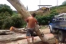 (Vidéo) Un homme musclé soulève un tronc d’arbre
