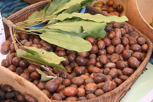 Rendement Du Piment à L Hectare En Cote D Ivoire