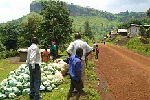 Côte d`Ivoire : la désertification menace 70% de la population rurale (experts)
