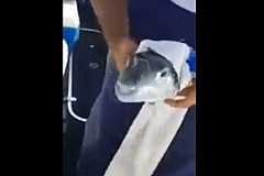 Ce poisson découpe une canette d'un seul coup