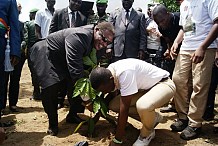 La forêt ivoirienne se meurt et est en voie de disparition, prévient le ministre Babaud Darret
