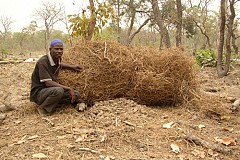 Côte d'Ivoire: Un homme a été abattu dans un grenier d'ignames Côte d'Ivoire: Un homme a été abattu dans un grenier d'ignames