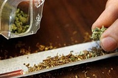 Belgique: Arrêté pour trafic de cannabis à 73 ans Belgique: Arrêté pour trafic de cannabis à 73 ans