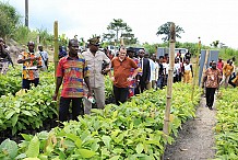 Insertion des jeunes : Le ministre Moussa Dosso visite le site de la station expérimentale du Centre de recherche de Nestlé à Zambakro  