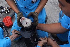 (Vidéo) Thaïlande: Un chiot coincé dans un tuyau en métal