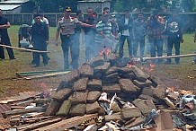 Djakarta: Tout un quartier souffre de maux de tête après que la police brûle plus de trois tonnes de cannabis