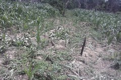 Côte d'Ivoire: Honteux, Il tue sa femme qui a découvert qu'il la trompait Côte d'Ivoire: Honteux, Il tue sa femme qui a découvert qu'il la trompait