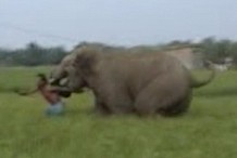 (Vidéo) Inde: Un homme échappe à un éléphant de cinq tonnes