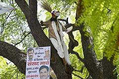 Inde: Un paysan se pend sous les yeux de la foule Inde: Un paysan se pend sous les yeux de la foule