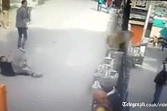 (Vidéo) Inde: Un ado fait un doigt d’honneur à un singe, le primate l'attaque (Vidéo) Inde: Un ado fait un doigt d’honneur à un singe, le primate l'attaque