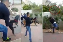 (Vidéo) Israël: Un jeune homme de 18 ans lance violemment un chien dans les buissons