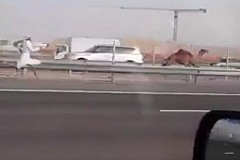 (Vidéo) Dubaï: Il court après un dromadaire sur l’autoroute