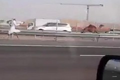 (Vidéo) Dubaï: Il court après un dromadaire sur l’autoroute (Vidéo) Dubaï: Il court après un dromadaire sur l’autoroute