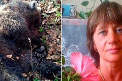 Un ours l'enterre vivante pour pouvoir la manger plus tard Un ours l'enterre vivante pour pouvoir la manger plus tard