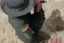 (Vidéo) Colombie: Un policier risque sa vie pour sauver un chien d'une coulée de boue