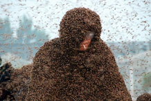 (vidéo) Le corps recouvert par plus d’un million d’abeilles 