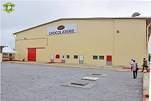 Côte d'Ivoire : Avec la première usine de chocolat, les ivoiriens pourront enfin manger du chocolat