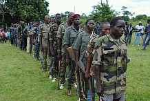 Côte d'Ivoire : le gouvernement met fin au désarmement des ex-combattants
