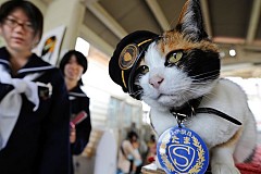 Japon: Mort de Tama, le seul chat chef de gare
