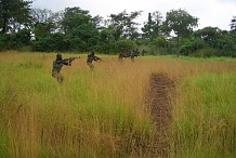 Mali: Trois djihadistes tués après une offensive des soldats maliens, ivoiriens et onusiens (sources sécuritaires)
