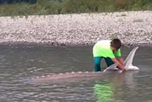 A neuf ans, il pêche un poisson dix fois plus lourd que lui