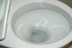 Phobique des toilettes, elle meurt après s’être retenue pendant plus de deux mois
Phobique des toilettes, elle meurt après s’être retenue pendant plus de deux mois