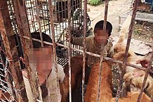Chine: Une sœur et un frère de quatre et six ans contraints de vivre dans une cage avec des chiens, à cause de leur grand-père