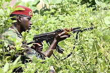 Arrestation d'un cerveau des attaques à la frontière ivoiro-libérienne 