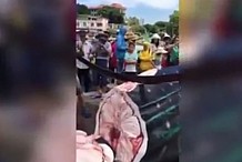 (Vidéo) Un requin-baleine découpé vivant en Chine