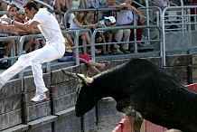 Espagne : il filme un lâcher de taureaux et meurt encorné