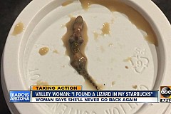(Vidéo) Elle trouve un lézard dans son café Starbucks (Vidéo) Elle trouve un lézard dans son café Starbucks
