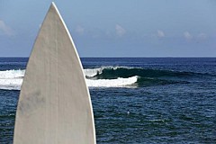 Etats-Unis: mordue par un requin, une fillette replonge pour sauver son amie Etats-Unis: mordue par un requin, une fillette replonge pour sauver son amie