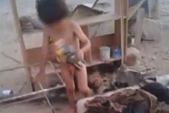 (Vidéo) Chili : Une chienne aide un enfant maltraité en l'allaitant