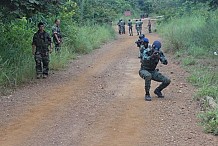 Présidentielle 2015 : La Police de l'ONUCI forme les forces de l'ordre ivoiriennes 