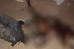 Abobo: Un jeune homme éventré sur un parking Abobo: Un jeune homme éventré sur un parking