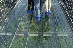 (Vidéo) Un pont en verre à 300 m au-dessus du vide (Vidéo) Un pont en verre à 300 m au-dessus du vide