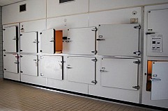 Déclaré mort, il se réveille à la morgue juste avant son autopsie Déclaré mort, il se réveille à la morgue juste avant son autopsie