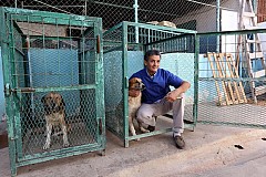 Guerre en Libye: Il sauve 250 animaux au péril de sa vie et les restitue à ses maîtres
