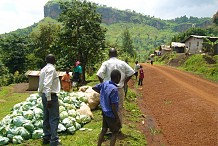 Le PIB agricole par habitant et par jour passe de 880 en 2012 à 1140 F CFA en 2014 dans le Nord ivoirien (expert)