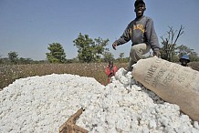  Yamoussoukro abritera un atelier de restitution de l’étude pour le zonage agro industriel du bassin cotonnier ivoirien