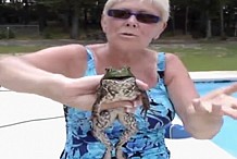 (Vidéo) La grenouille qui miaulait comme un chat