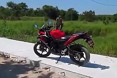 (Vidéo) Il se bat avec le singe qui a pissé sur sa moto