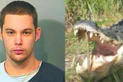 Etats-Unis : Il se jette dans un étang pour fuir la police, un alligator le tue