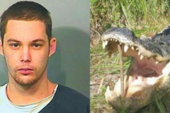 Etats-Unis : Il se jette dans un étang pour fuir la police, un alligator le tue Etats-Unis : Il se jette dans un étang pour fuir la police, un alligator le tue